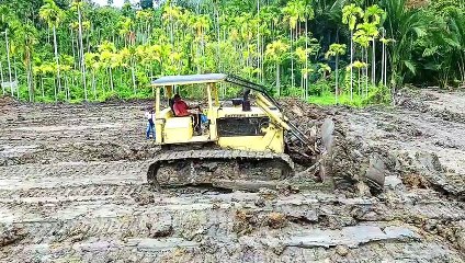 Pushing Clay Very Fast Caterpillar Bulldoser D6D