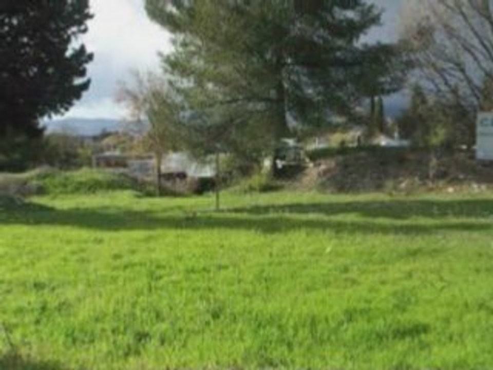 1ers Vols Trex 450 SE par Riva8406