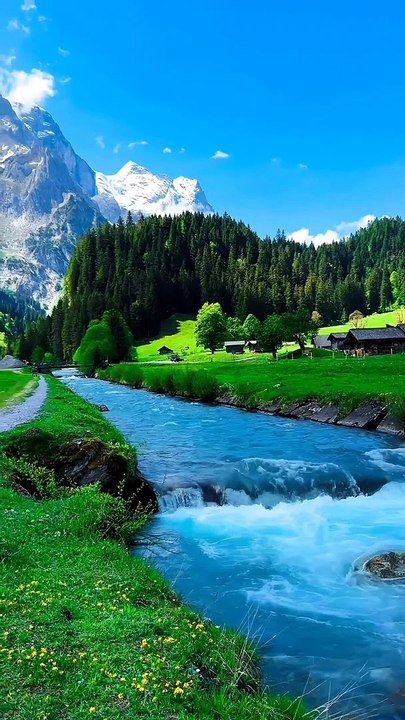 Natural beauty