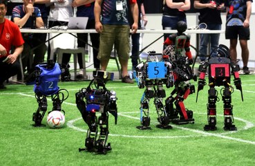 Ireland's team won the RoboCup tournament in Bourdeaux, France