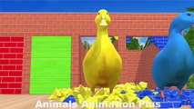 4 Giant Duck Cartoon,Tiger,Cow,rabbit,Gorilla,Hamsters,Dog,Cat Wild Animals Crossing Fountain 2023