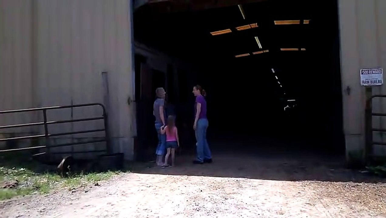 Protective Mare Runs To Precious Foal After Hearing Her Cry