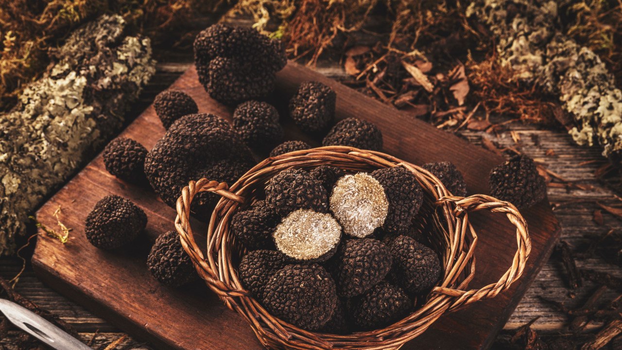 Are Truffles Mushrooms?