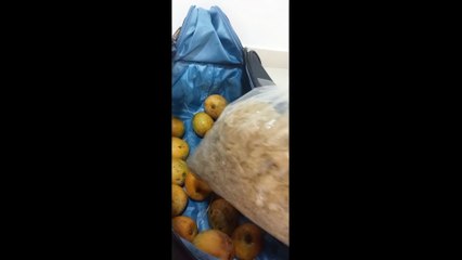 Fresh mangoes from India