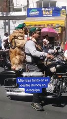 "Firualis patriota": Policía canino asombró a todos en desfile militar