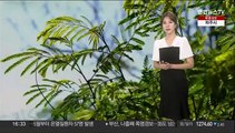 [날씨] 전국 무더위·강한 소나기…밤사이 열대야