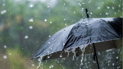 Sommer Ade: Regenschirm statt Sonnenbrille im Norden Deutschlands