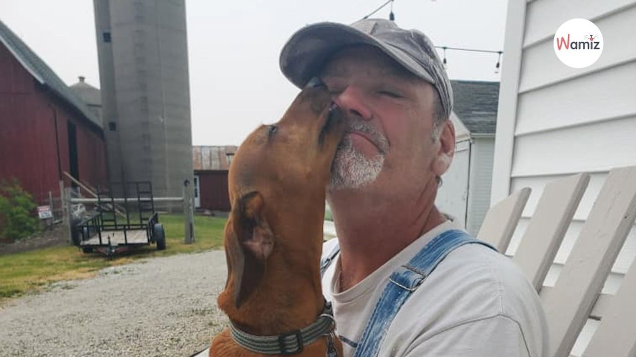 Dad receives Father's Day gift; now people stare when he walks his dog