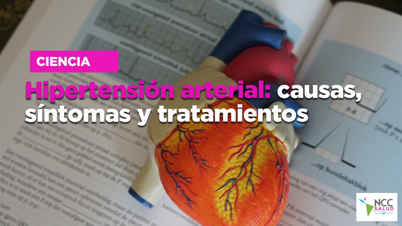 Hipertensión arterial: causas, síntomas y tratamientos