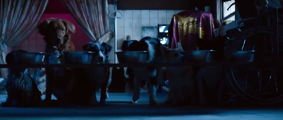 Dogman - ¡Mira el tráiler oficial de esta impactante historia! 🐶
