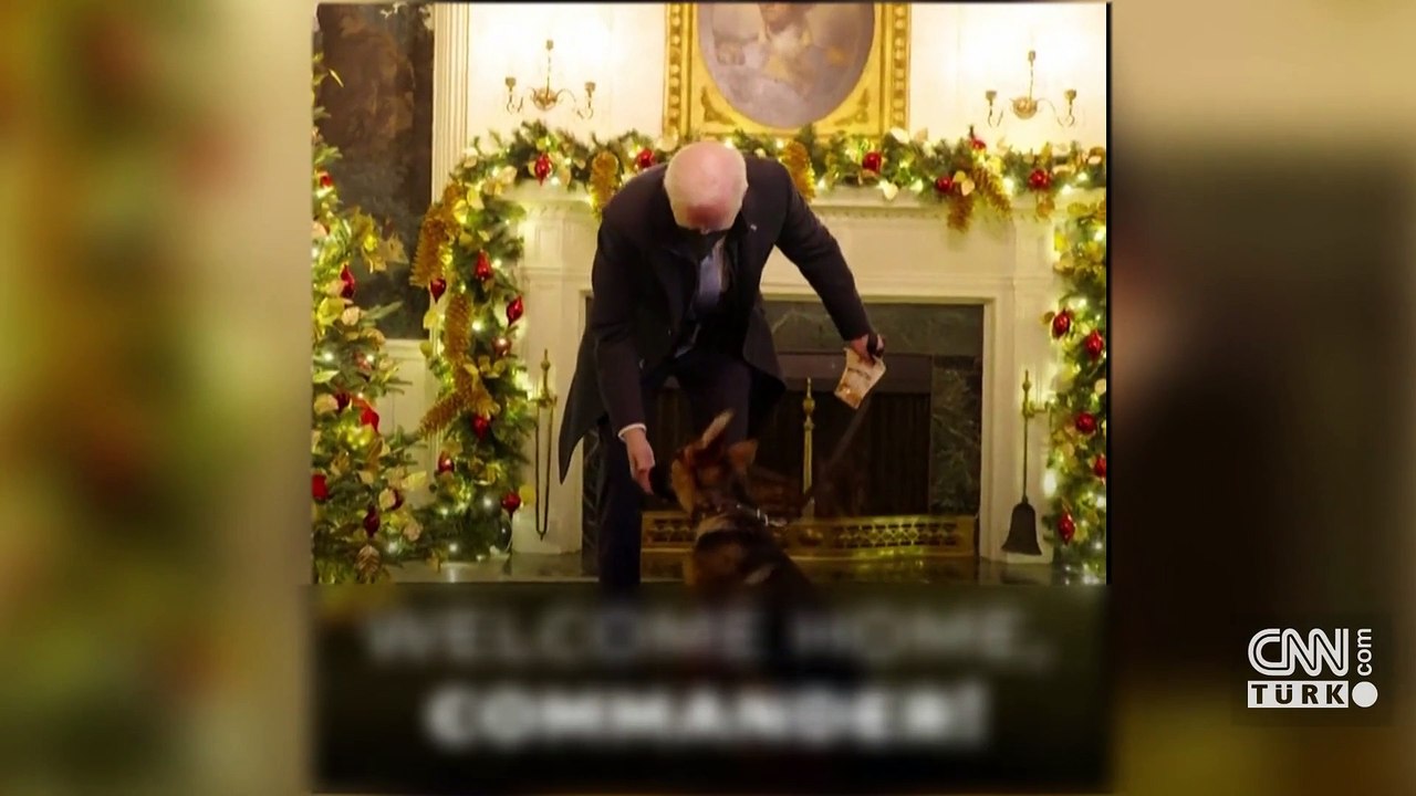 Biden’in köpekleri gizli servis ajanlarına saldırdı