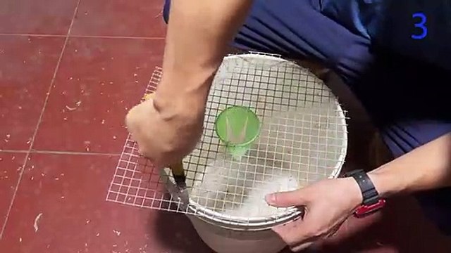 Homemade mousetrap with plastic paint containers Best mouse trap