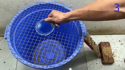 mouse trap video   electric mousetrap   water mouse trap   Make a mouse trap with a plastic box