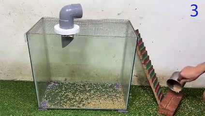 Tải video: New mouse trap   Falling into a trap   The best homemade mousetrap in the world