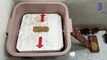 Mouse trap video   DIY mousetrap   How to trap a mouse with a trash can