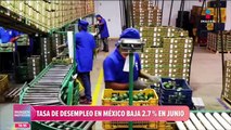 Tasa de desempleo en México a la baja