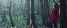 L'APPEL DE LA FORÊT - Court-métrage par Studairéo Groupe