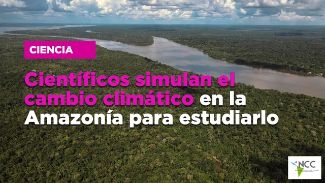 Científicos simulan el cambio climático en la Amazonía para estudiarlo