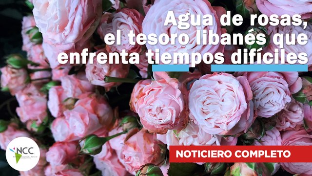 Agua de rosas, el tesoro libanés que enfrenta tiempos difíciles | 573 | 31 julio - 6 agosto 2023