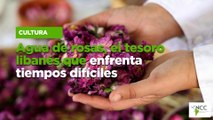 Agua de rosas, el tesoro libanés que enfrenta tiempos difíciles