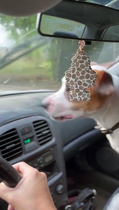 Se plaindre aux balais d'essuie-glace