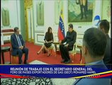 Jefe de Estado se reúne con secretario del Foro de Países Exportadores de Gas