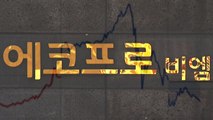 [뉴스라이더] 광풍 끝났나?...에코프로 고점 낚은 개미들 '한숨' / YTN