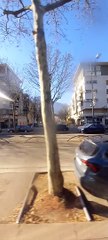 Échirolles Commune Française située dans le département de l'Isère, en région Auvergne-Rhône-Alpes  (108)