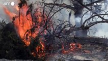 Rodi, gli incendi devastano l'isola per l'ottavo giorno consecutivo