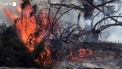 Télécharger la video: Rodi, gli incendi devastano l'isola per l'ottavo giorno consecutivo