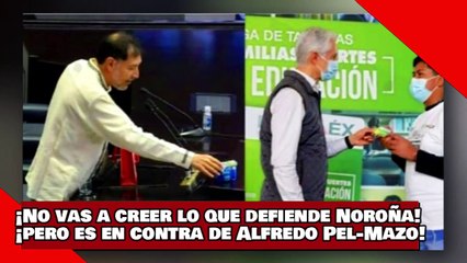 ¡VEAN! ¡No vas a creer lo que defiende Noroña! ¡pero es en contra de Alfredo Pel-Mazo!