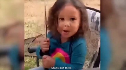 Cute Pets | Nice Collection of Funny Cute Pets