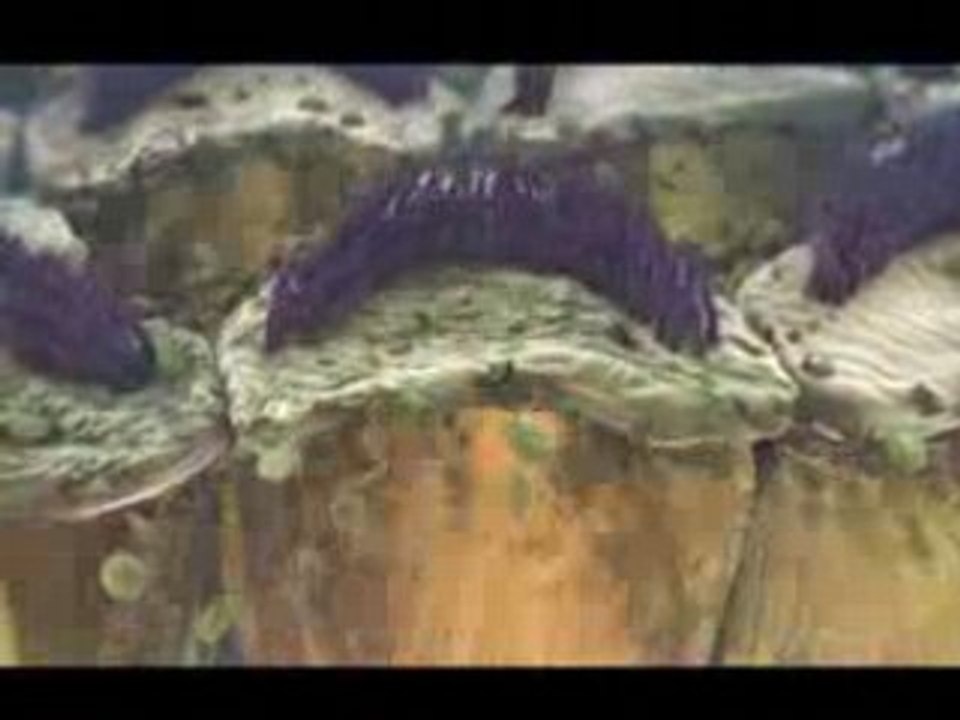 3d Demo Reel - medical animation