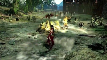 Lianshi Combat Movie Sample (DW8)