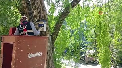 Atıl durumdaki elektrik panoları kuş yuvalarına dönüştürüldü