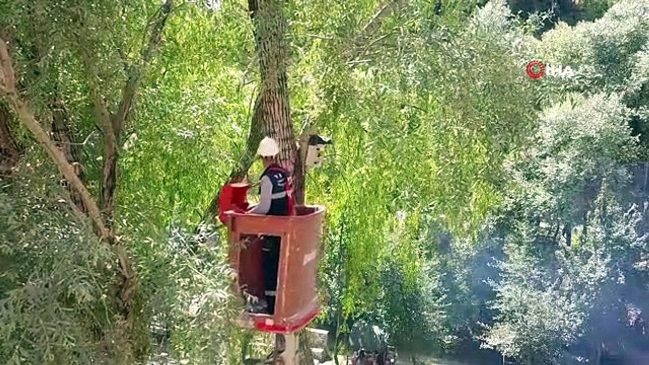 Des panneaux électriques handicapés transformés en nids d'oiseaux