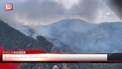 Orman yangınlarıyla mücadele sürüyor