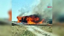 33 büyükbaş hayvan ahırda çıkan yangında diri diri yandı