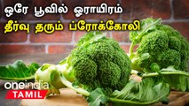 Broccoli சாப்பிடுவதால் கிடைக்கும் நன்மைகள் | Broccoli Health Benefits in Tamil | Oneindia Tamil