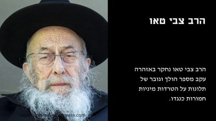 הרב צבי טאו