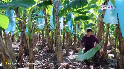 Có Hẹn Với Yêu Thương Tập 5 - Phim Việt Nam THVL1 - xem phim hoa hong cho som mai tap 6