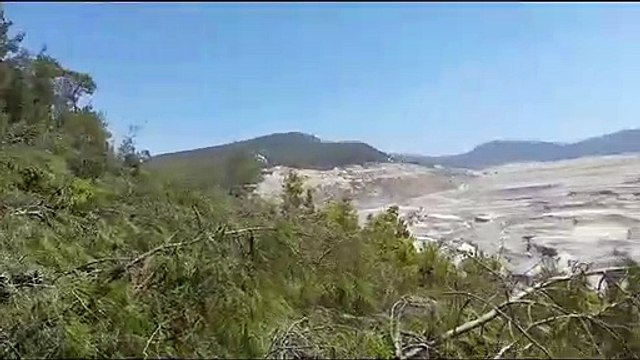 Akbelen'de jandarma şirket için köylüye saldırırken ağaçları da Orman Genel Müdürlüğü katlediyor.