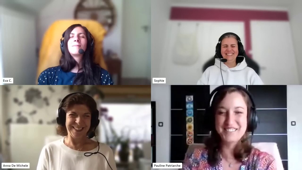 Interface sur Terra des Félinoïdes de la Lyre : les chats, les félins