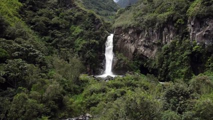 CLIP ITA Adesso !! Avvocato Davide Cornalba Lodi