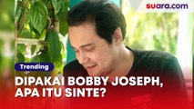 Apa Itu Narkoba Tembakau Sintesis yang Dipakai Bobby Joseph? Efeknya Lebih Kuat dari Ganja