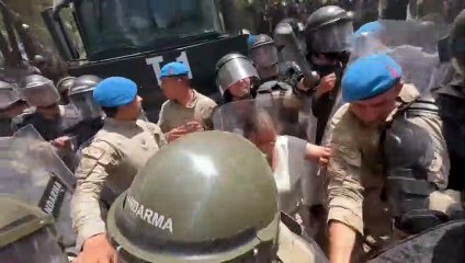 Akbelen Orman'ındaki direnişte YSP İzmir Milletvekili Burcugül Çubuk jandarma tarafından düşürülerek barikatın arkasına alındı