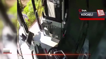 Kocaeli'de kaplumbağayı korumak için araçları durduran şoför