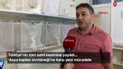 ‘Asya kaplan sivrisineği'ne karşı yeni mücadele