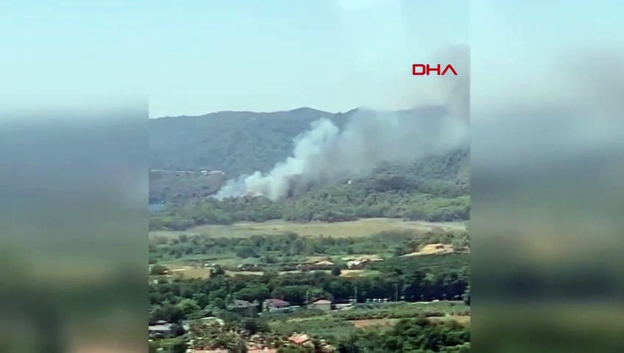 MUĞLA'DA ORMAN YANGINI