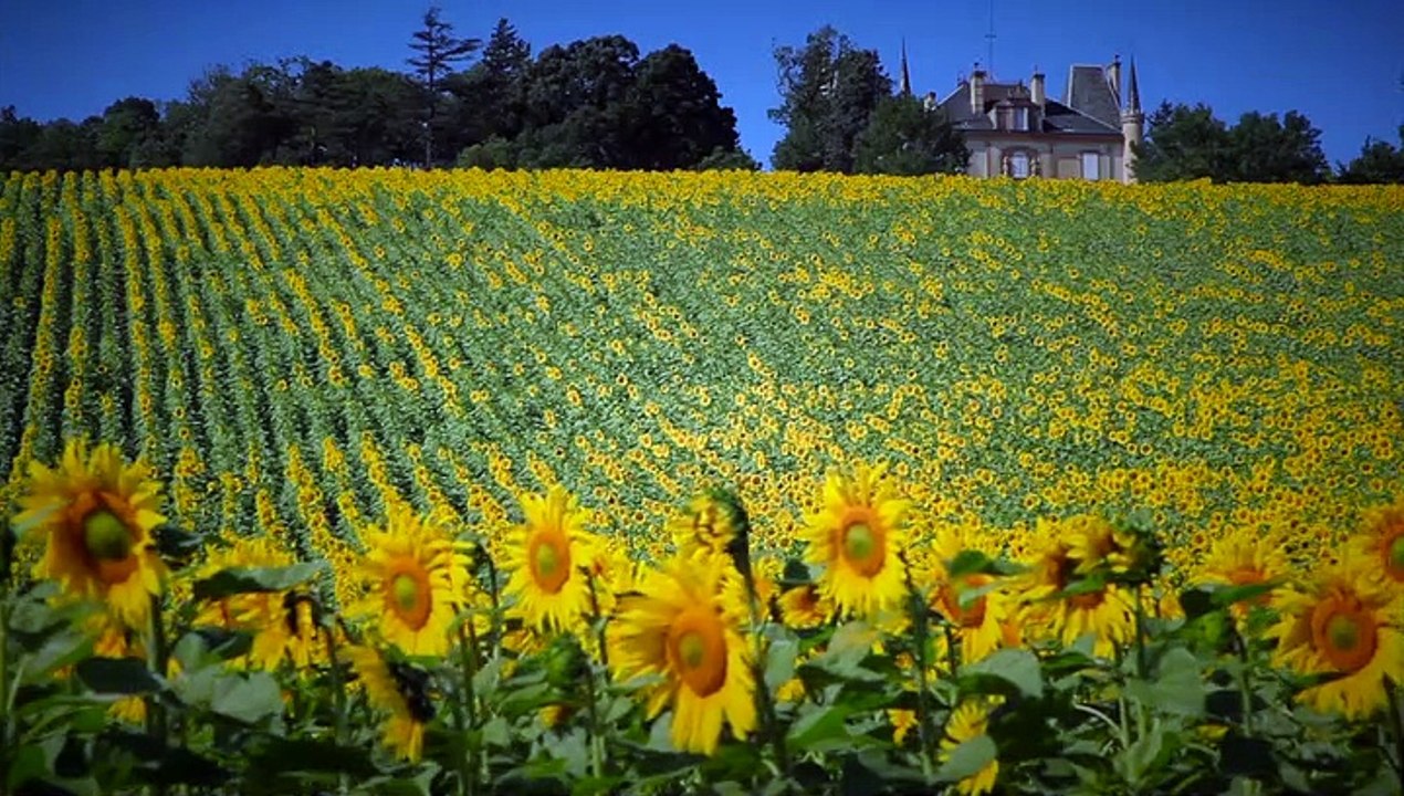 Vacances En Lauragais web